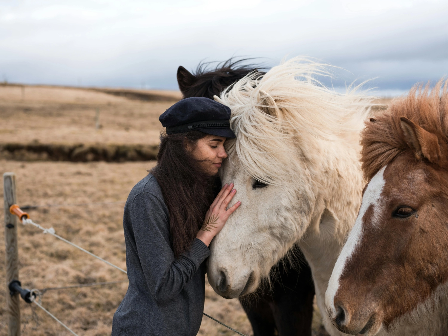 Ines Facius - Reiki - Lebensberatung -  Reiki Behandlungen auch für Tiere. Bild eines Pferdes mit seiner Besitzerin